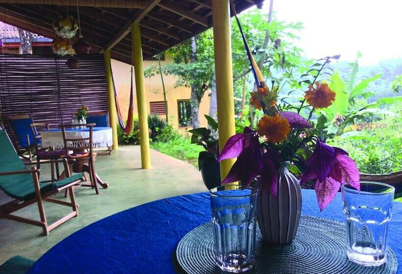 펜션 Natural Mystic Sanctuary