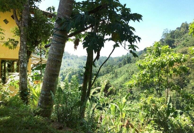 펜션 Natural Mystic Sanctuary