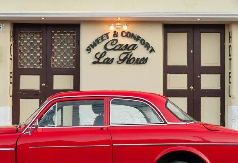 پانسیون Vintage Casa Las Flores