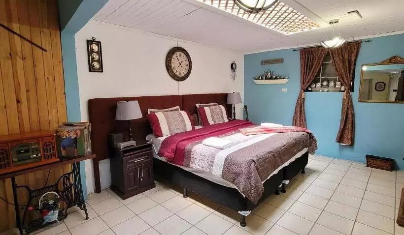 پانسیون Vintage Casa Las Flores