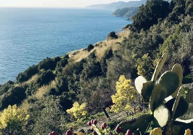 Affittacamere Creuza De Ma