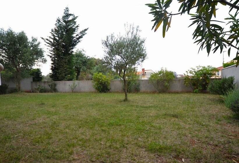 Apartments And Rooms Camaiore