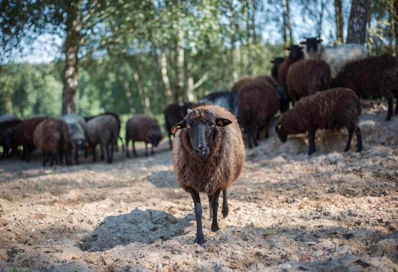 Отель Martiany 21