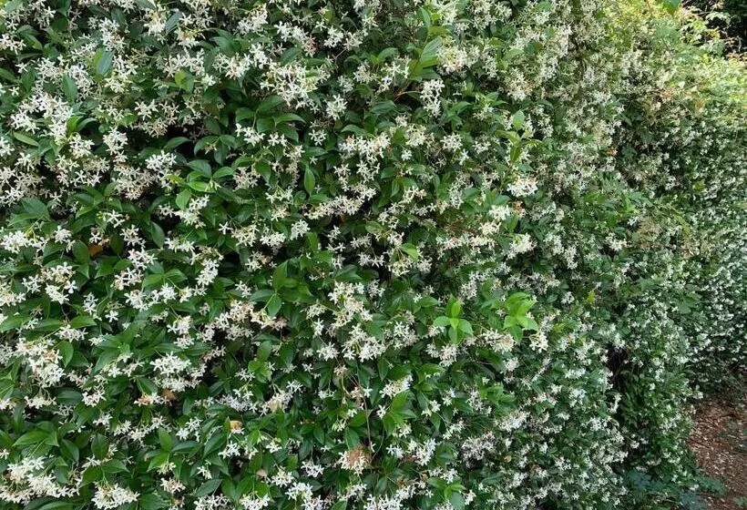 בית מלון כפרי 1842 Inn