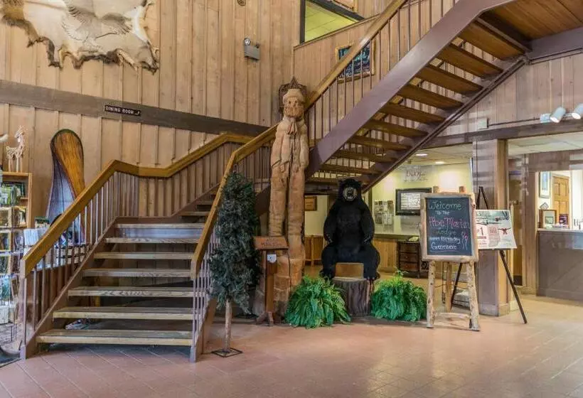 ホテル Abe Martin Lodge & Cabins