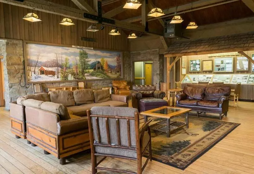 ホテル Abe Martin Lodge & Cabins