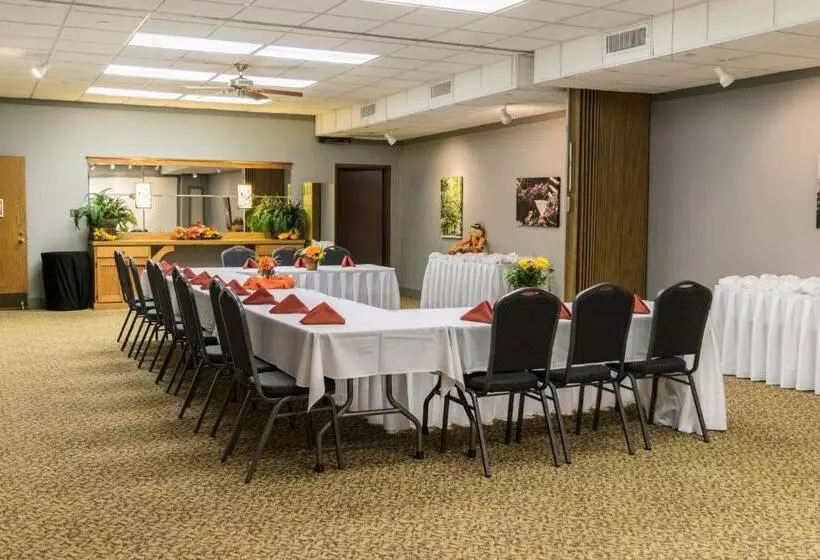 ホテル Abe Martin Lodge & Cabins