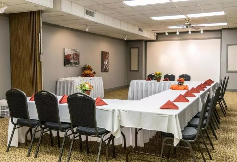 ホテル Abe Martin Lodge & Cabins