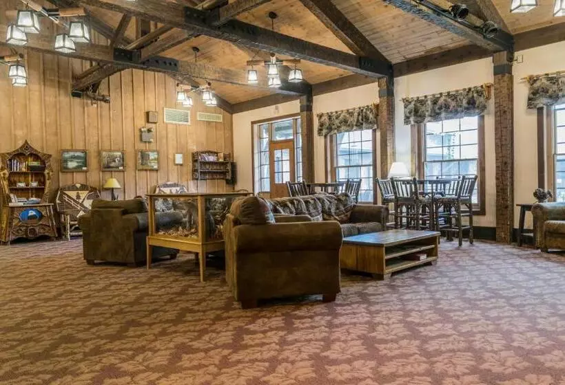 ホテル Abe Martin Lodge & Cabins