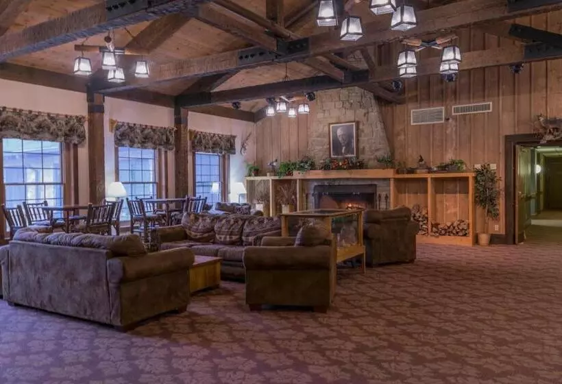 ホテル Abe Martin Lodge & Cabins