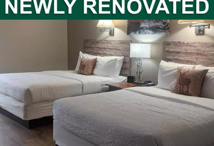 ホテル Abe Martin Lodge & Cabins