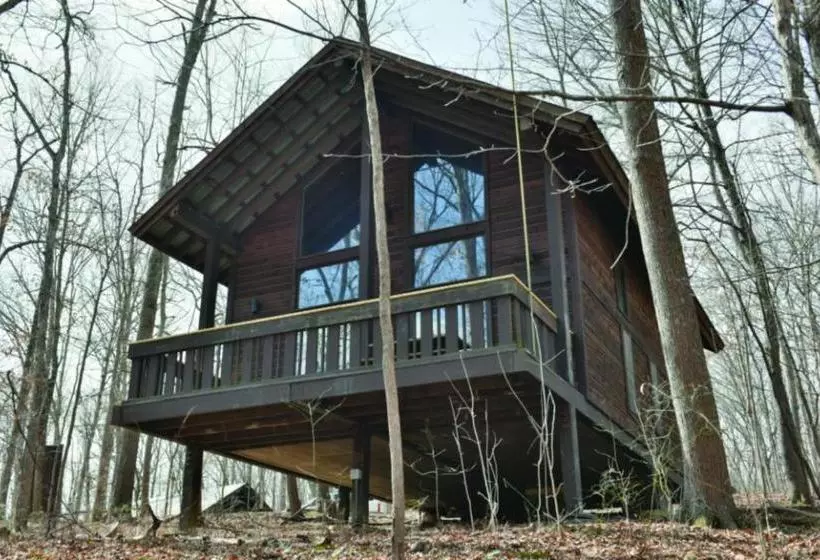 ホテル Abe Martin Lodge & Cabins