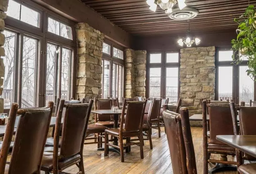 ホテル Abe Martin Lodge & Cabins