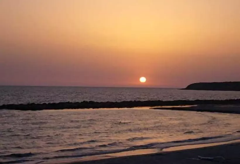 ホテル Les Palmiers