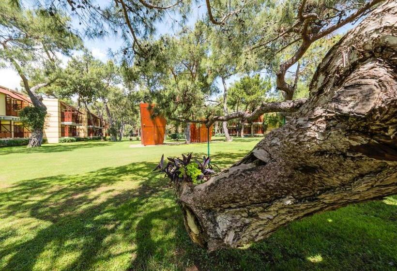 هتل Robinson Camyuva Adults Only