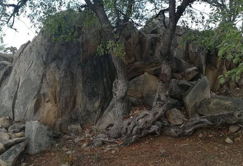 Ann S Lodge & Camping