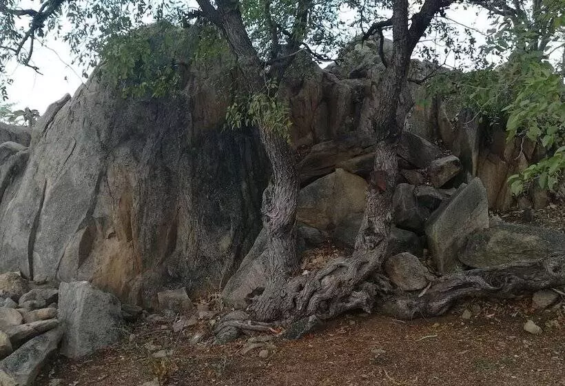 Ann S Lodge & Camping