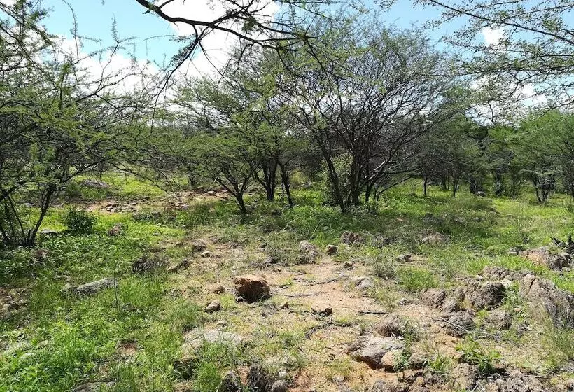 Ann S Lodge & Camping