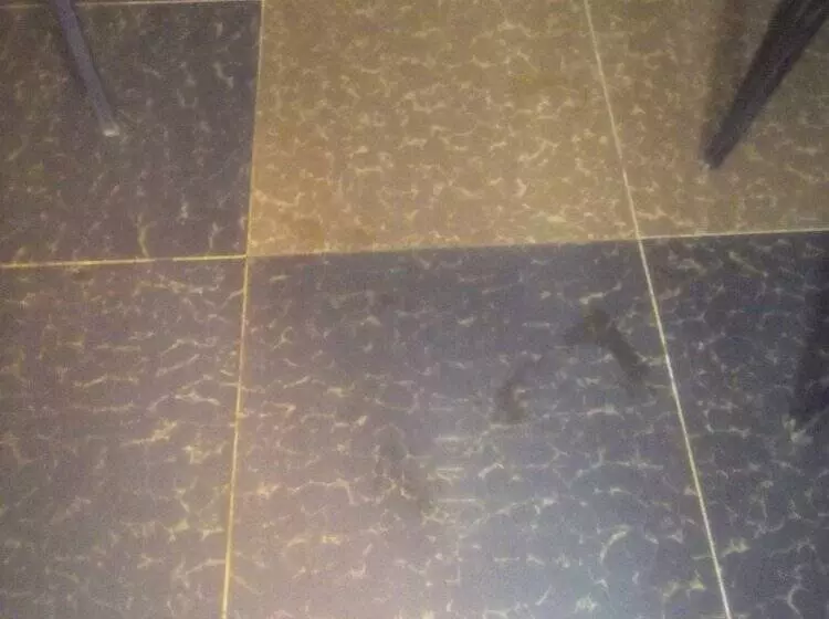 تختخواب و صبحانه The Hub Guest House