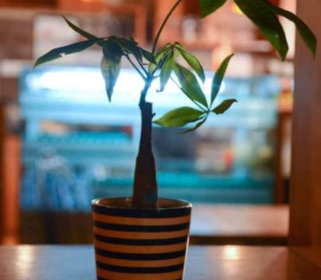 فندق 10 Park Street Bed & Breakfast