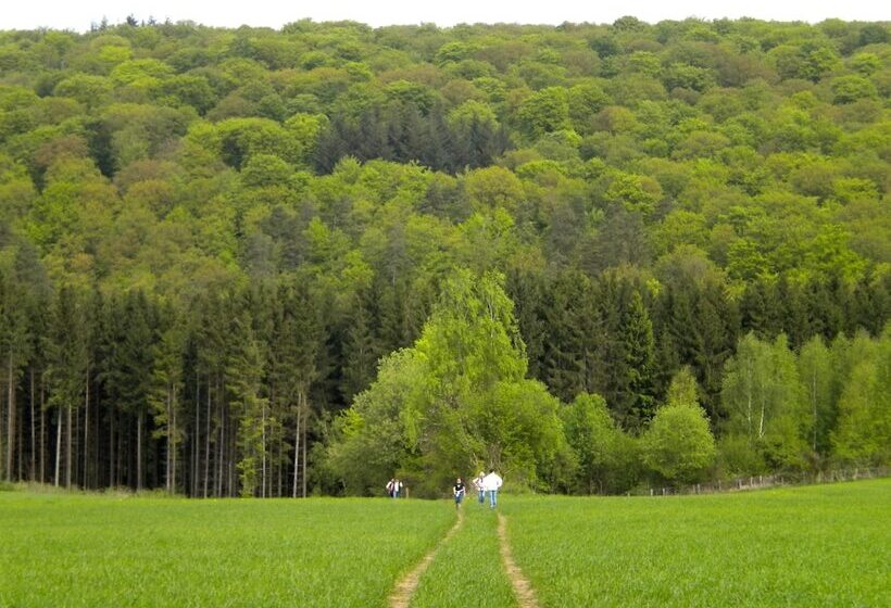 هتل Auberge Du Sabotier