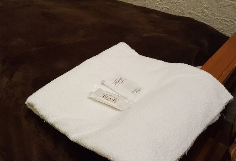 فندق Bichaikhanov Palace