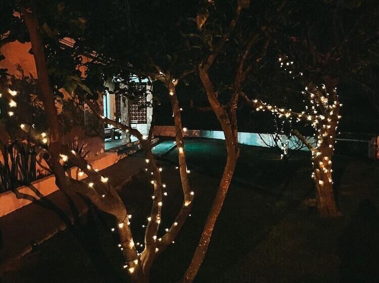 پانسیون Quinta Amarela