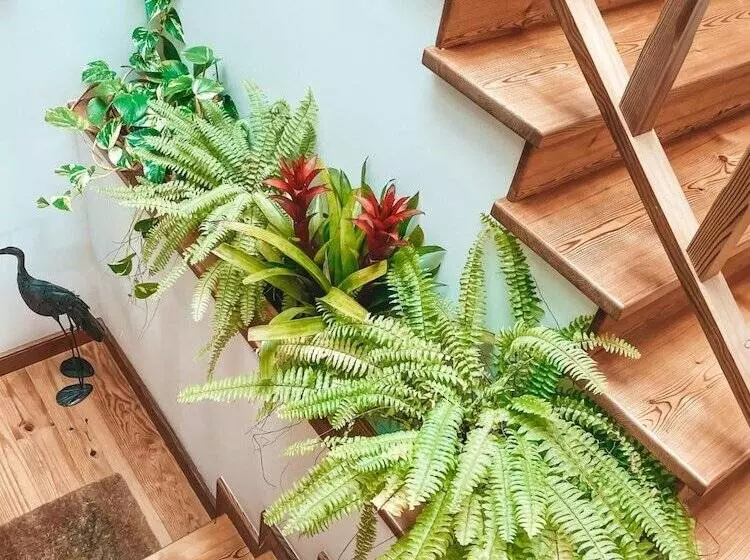 ペンション Quinta Amarela