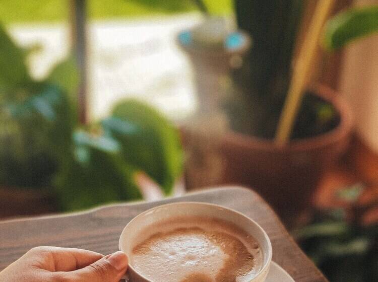 پانسیون Quinta Amarela