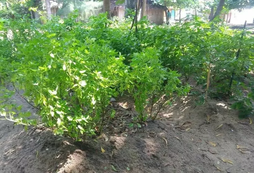 D&j Stamford Hotel   Hostel