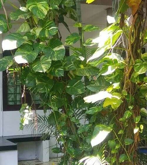 D&j Stamford Hotel   Hostel