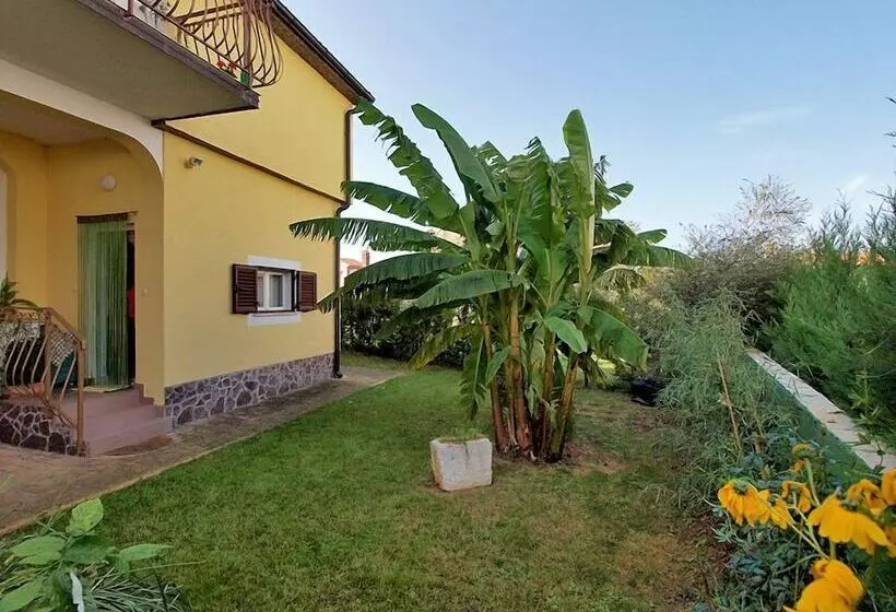 Apartment Antonio 721