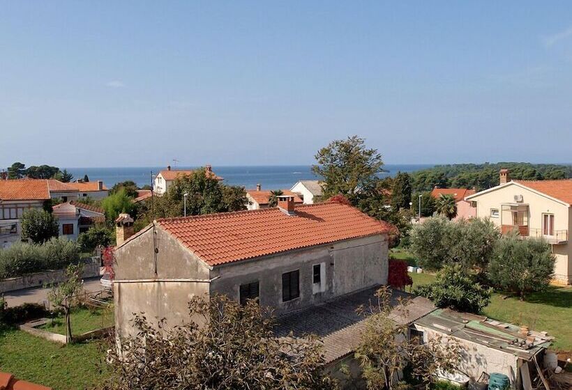 Apartment Antonio 721