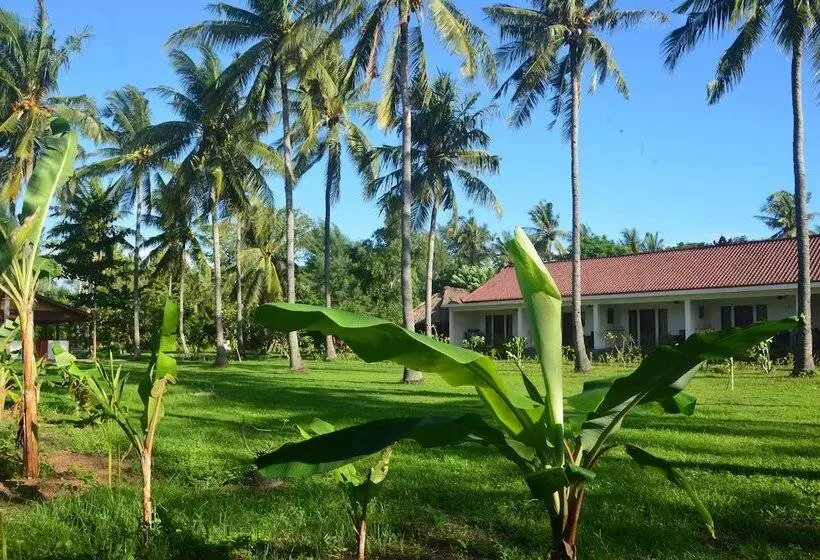 ベッドアンドブレックファースト Amigos Bungalows Gili Meno