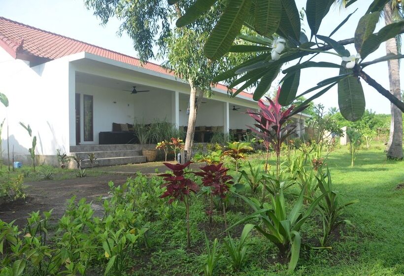 مبيت وإفطار Amigos Bungalows Gili Meno