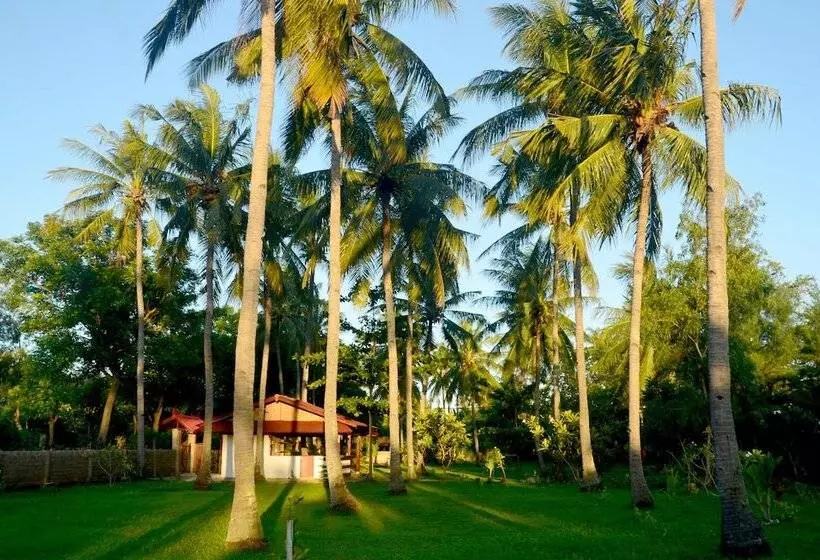 ベッドアンドブレックファースト Amigos Bungalows Gili Meno