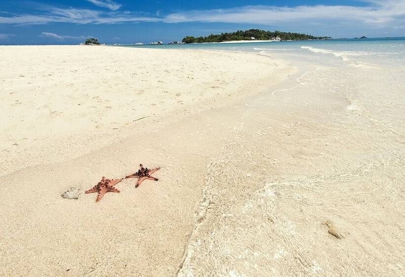 צימר Eco Beach Tent By Billiton