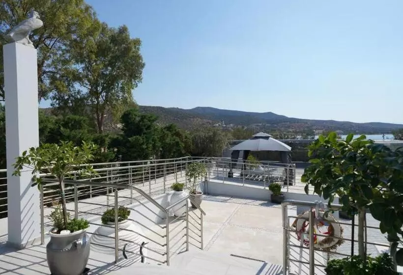 هتل Dardiza Boutique