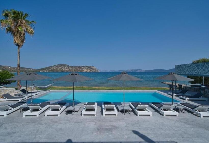 בית מלון כפרי Dardiza Boutique