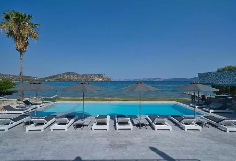 هتل Dardiza Boutique