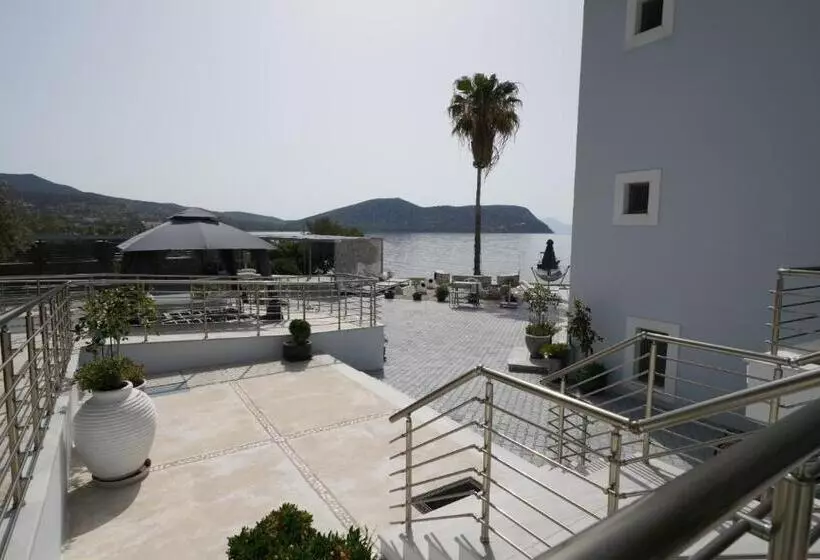 هتل Dardiza Boutique