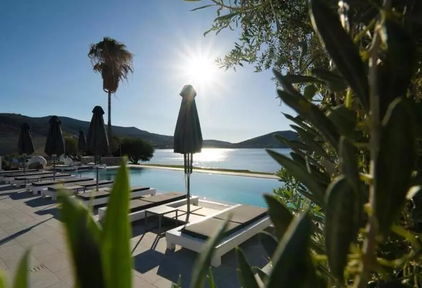 هتل Dardiza Boutique