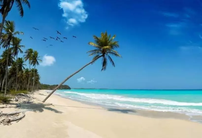 Mangro Hotel Diani Beach