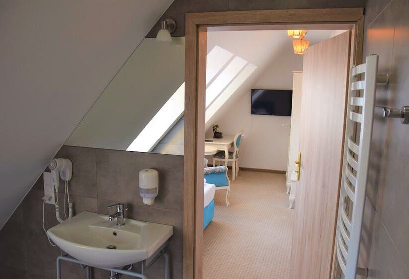 酒店 Paryski Art & Business Zakopane Basen Jacuzzi Sauna Małpi Gaj