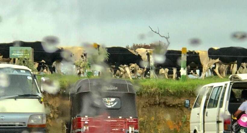 بنسيون Nuwara Eliya Redrock Guest