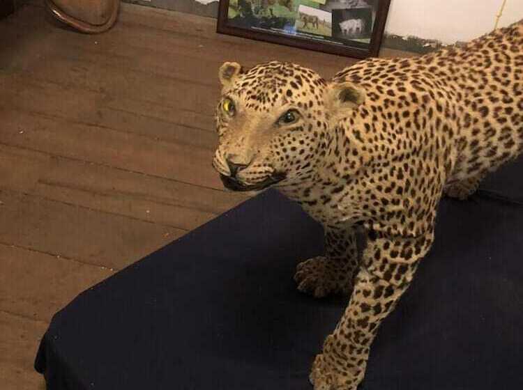 بنسيون Nuwara Eliya Redrock Guest