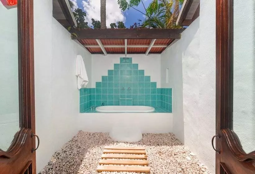 Arcadia Retreat Rarotonga