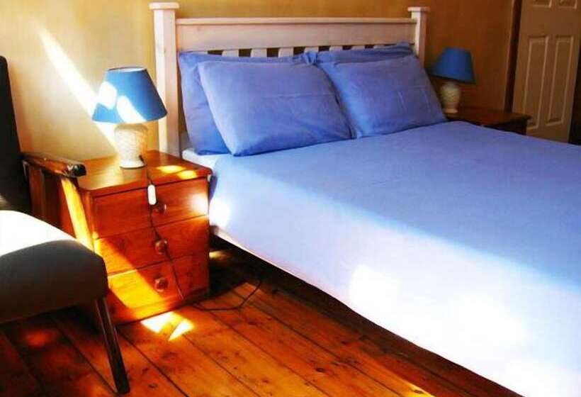 Carnival Court Backpackers   Hostel