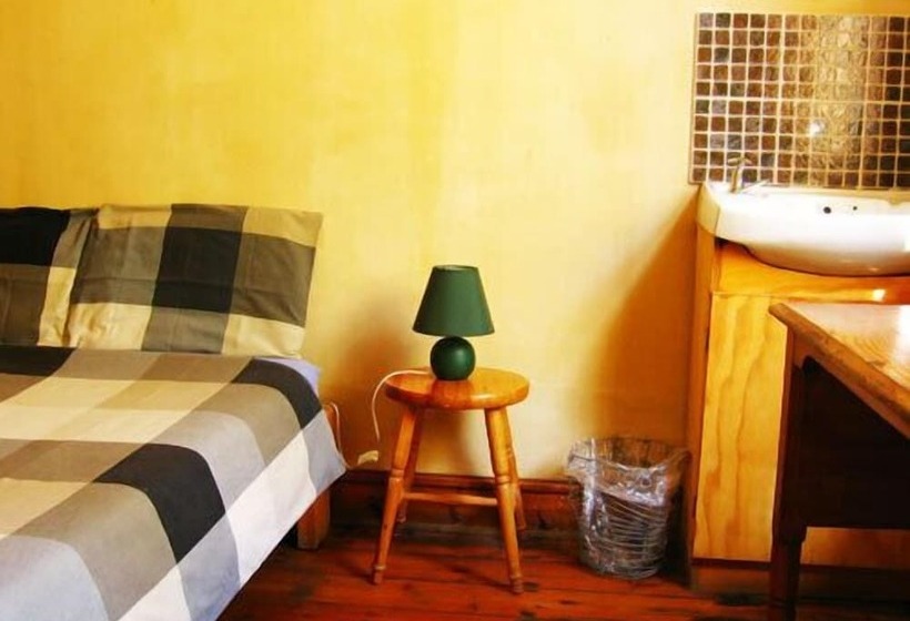 Carnival Court Backpackers   Hostel