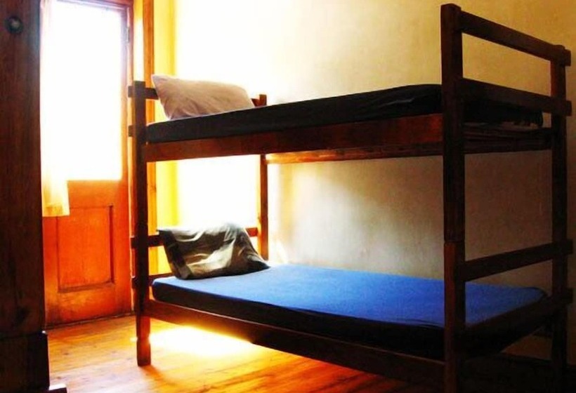 Carnival Court Backpackers   Hostel